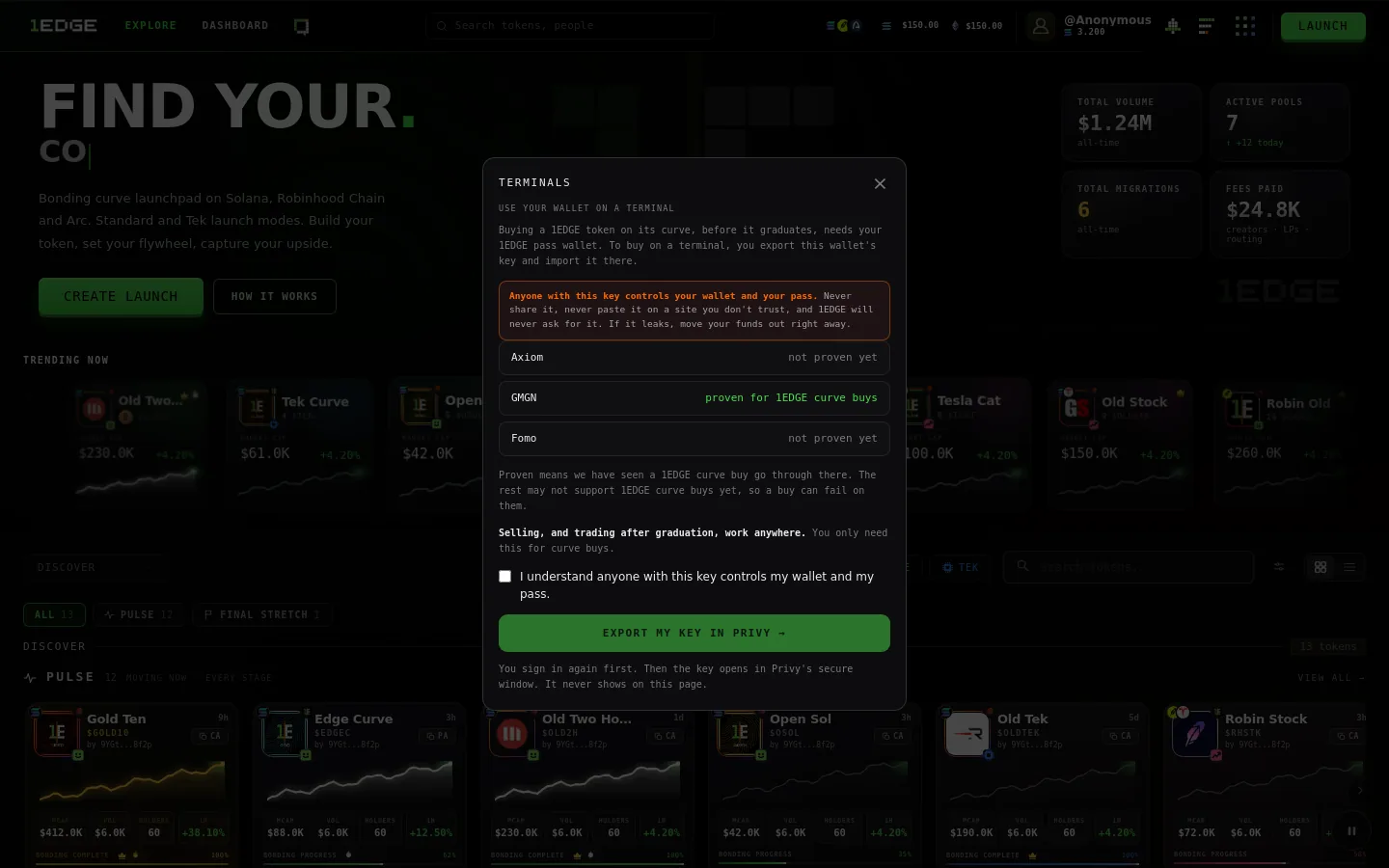 Use this wallet on a terminal: the warning, then the key in Privy's window.